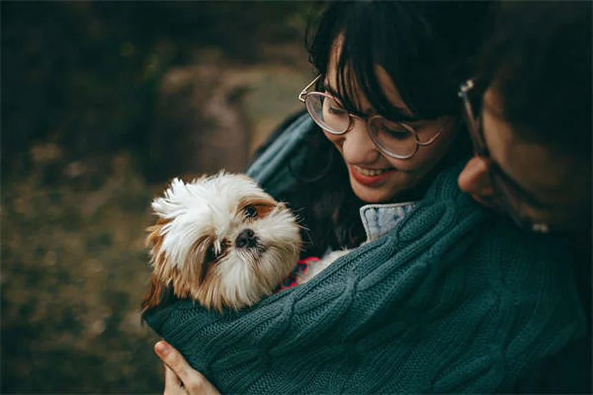 フェッチを嫌がる犬でも大丈夫！3つのステップで教える方法